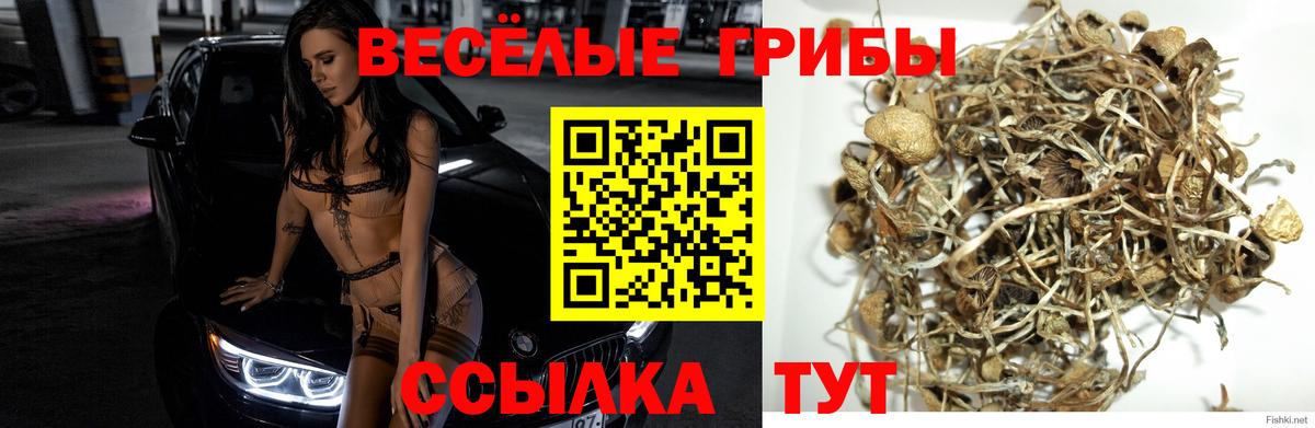 Псилоцибиновые грибы Magic Shrooms Клинцы